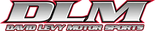DLM